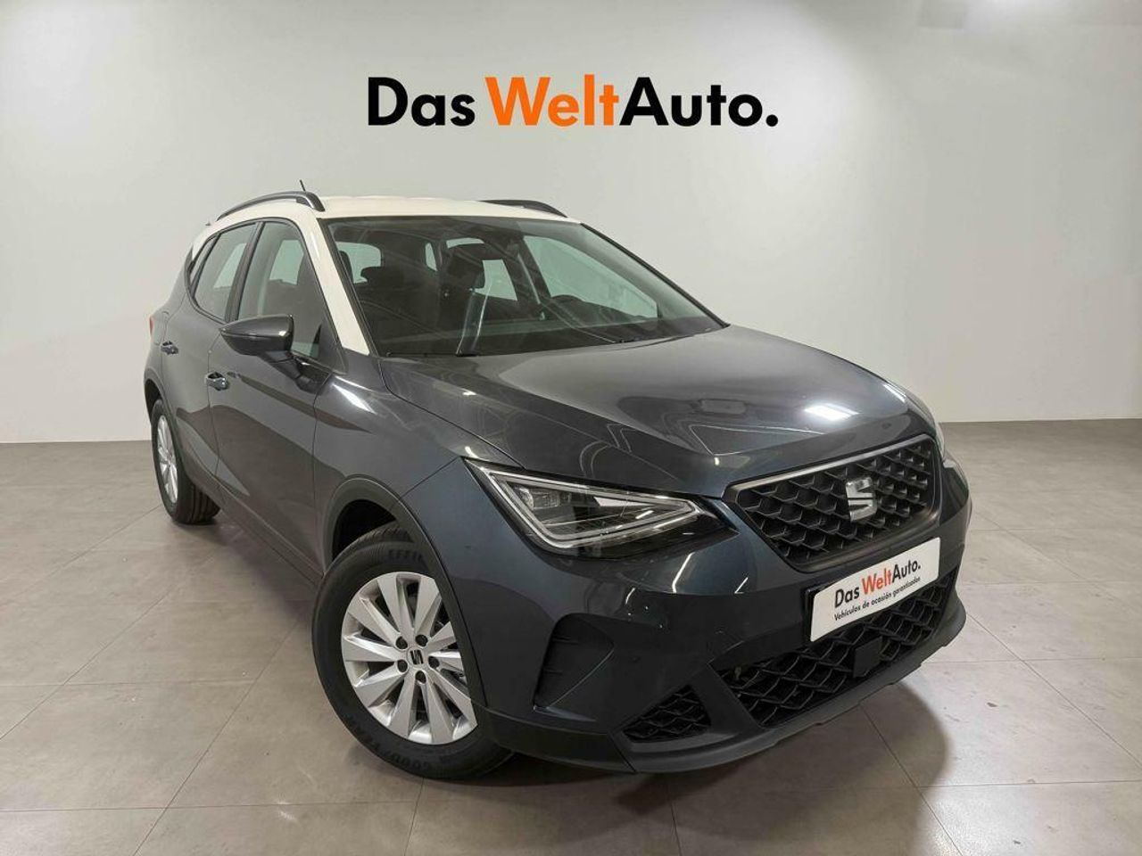 Foto seat arona 2024 /