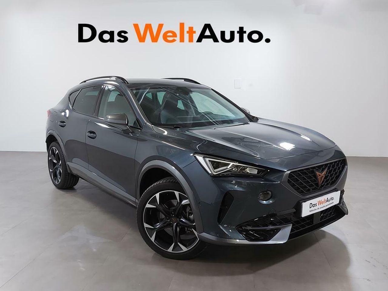 Foto cupra formentor 2023 /