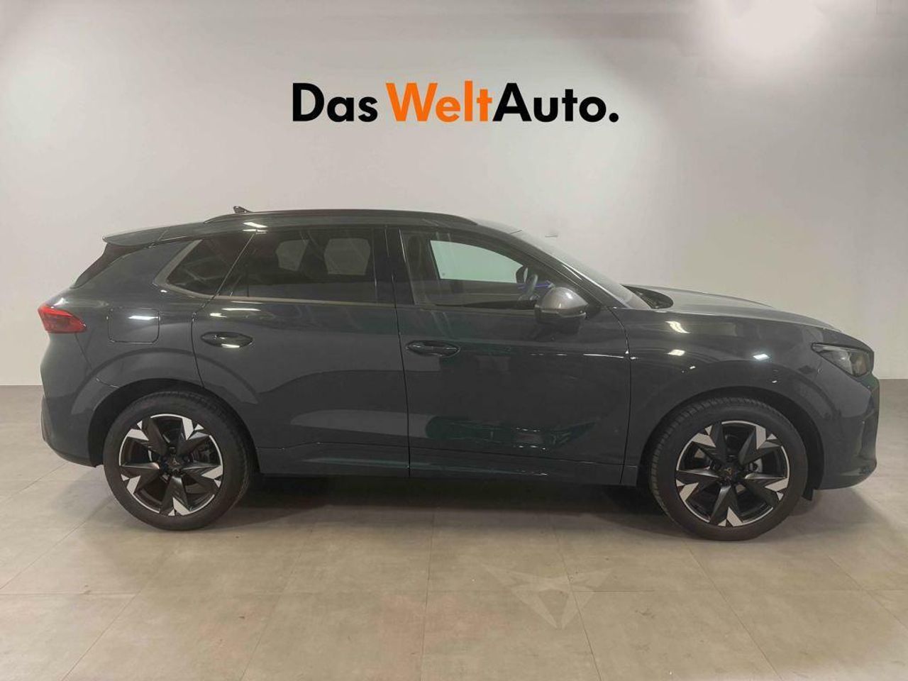 cupra terramar 2024 / foto grande (3)