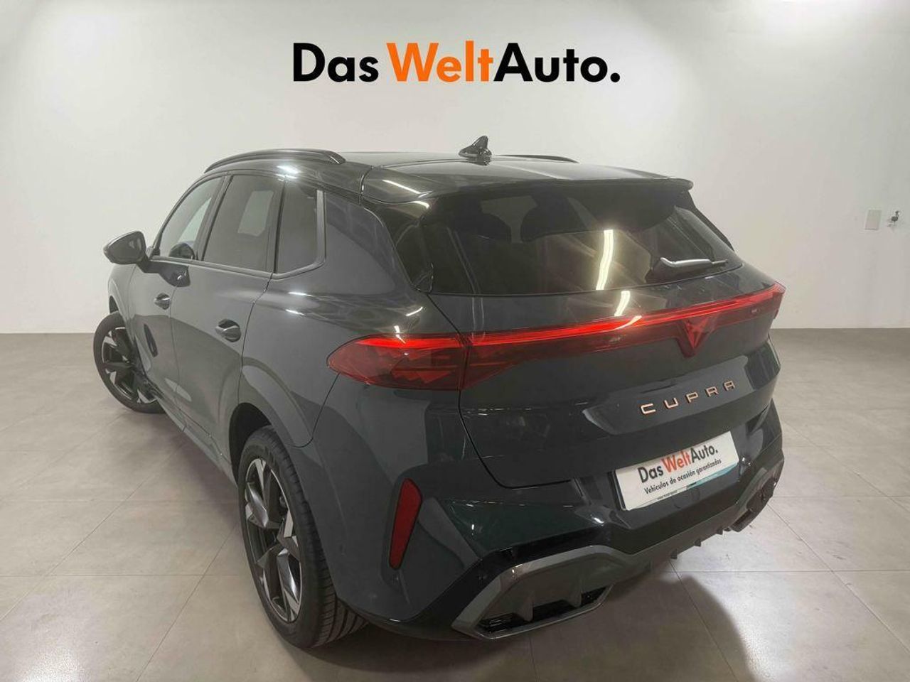 cupra terramar 2024 / foto grande (2)