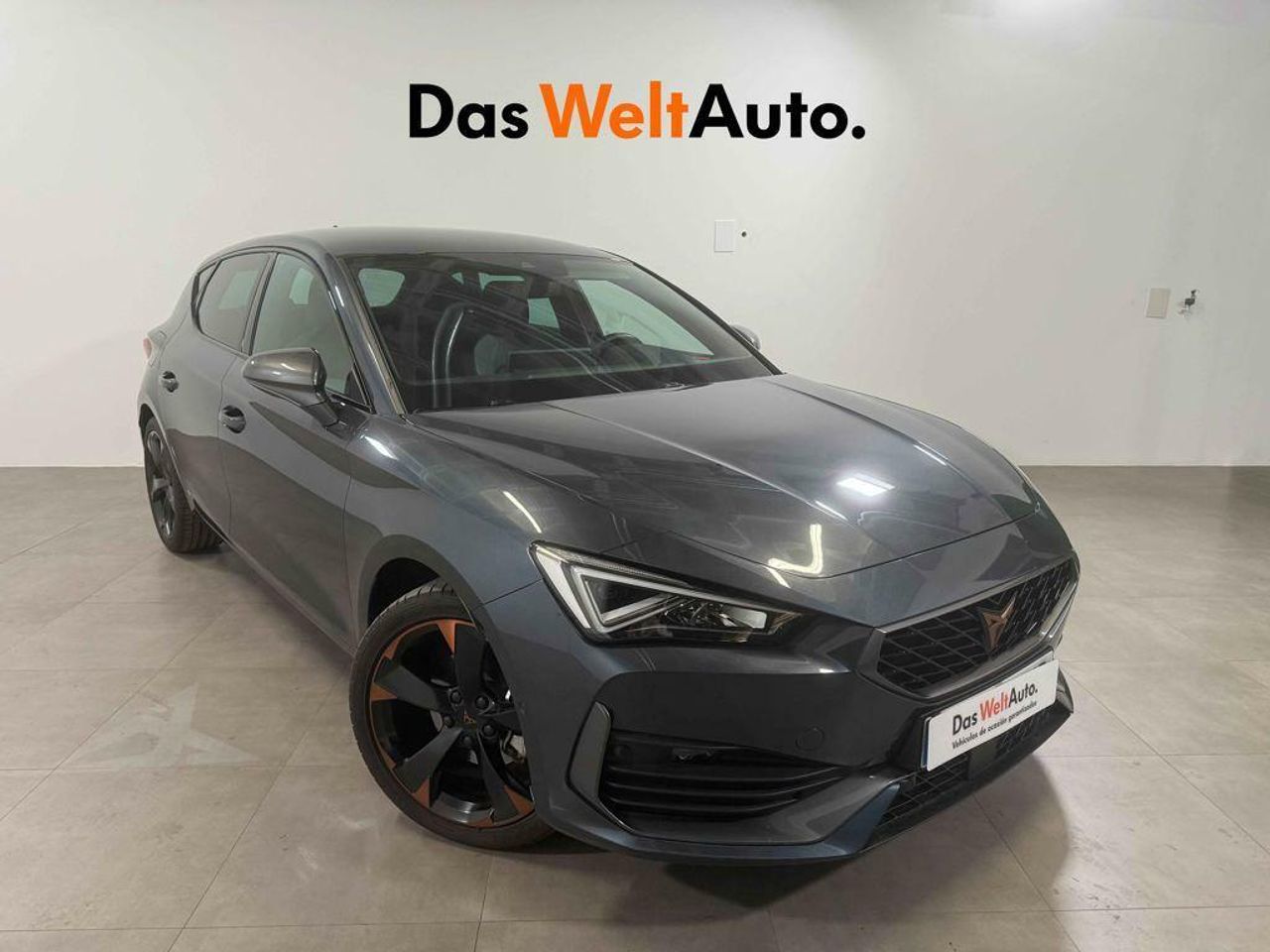 Foto cupra león 2024 /