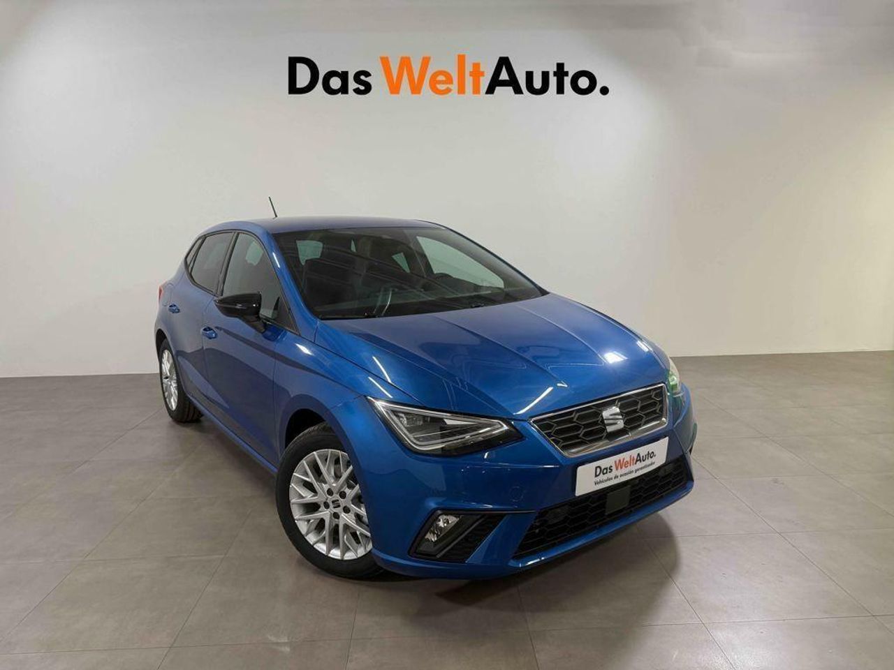 Foto seat ibiza 2024 /