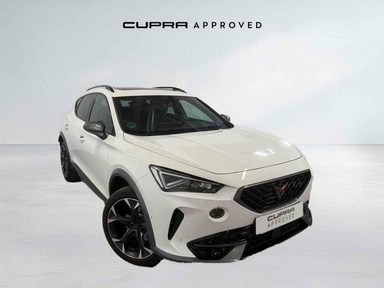 Foto cupra formentor 2023 /