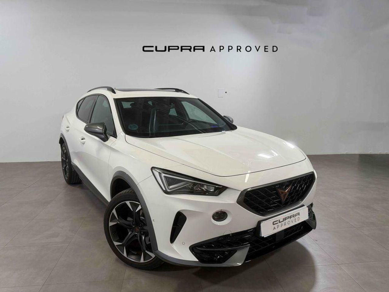 Cupra Formentor 2.0 TDI 110 kW (150 CV)