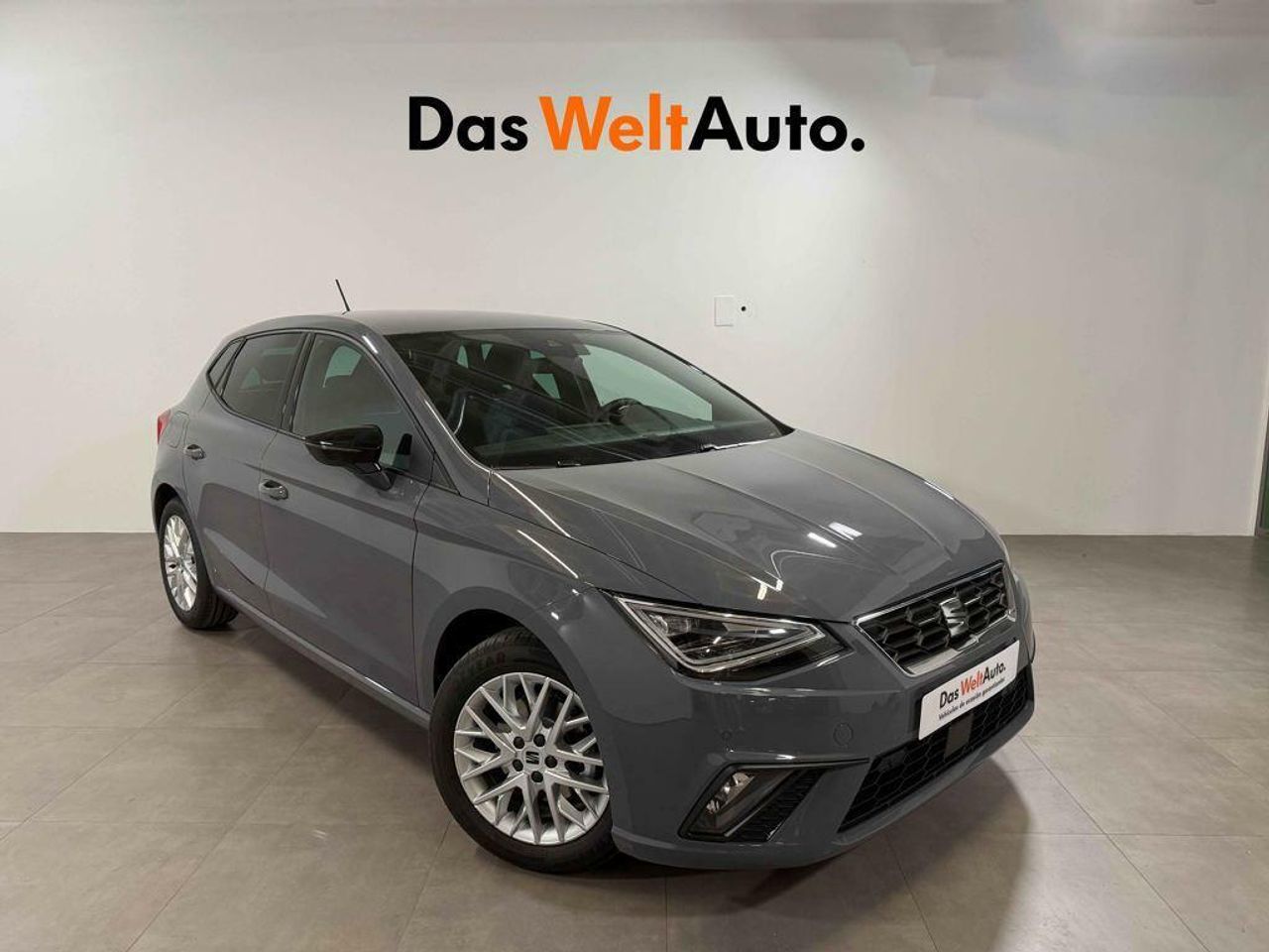 Foto seat ibiza 2025 /