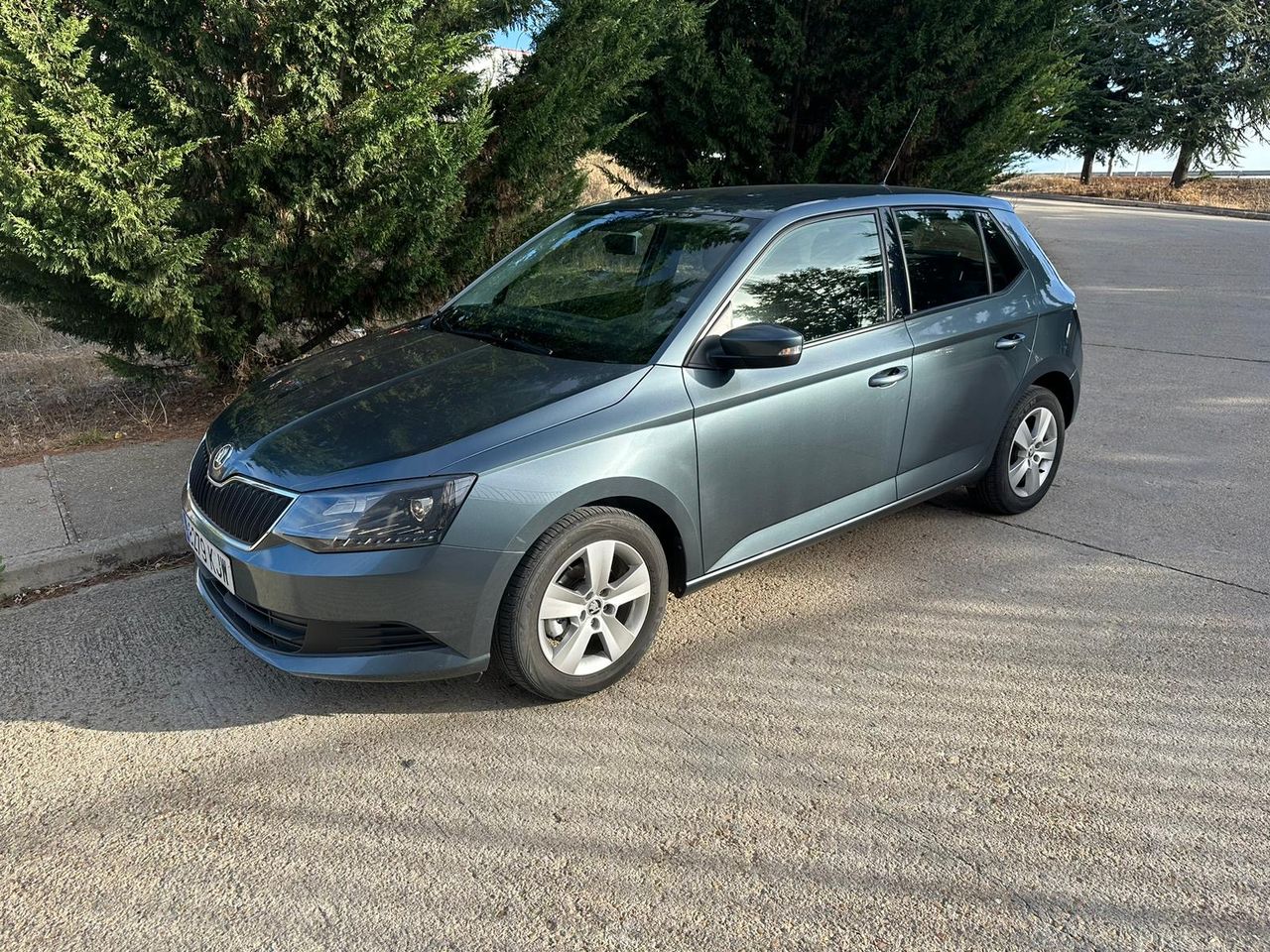 skoda fabia 2018 / foto grande (3)