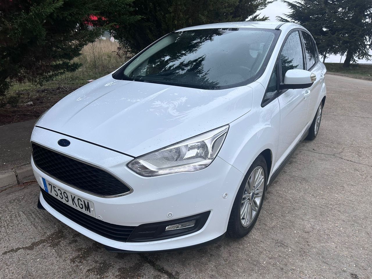 ford c max 2018 / foto grande (3)