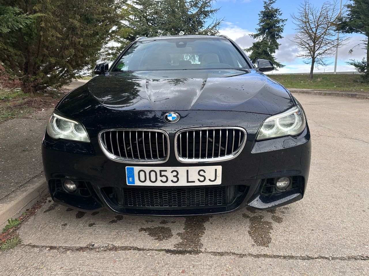 BMW Serie 5 520d touring XDrive - Foto 6