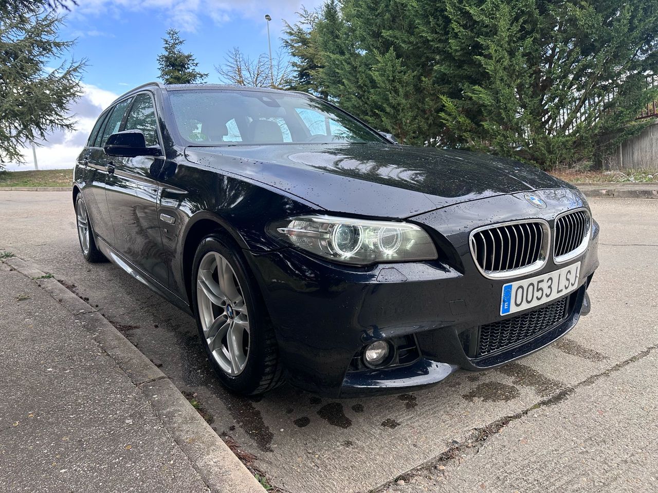 BMW Serie 5 520d touring XDrive - Foto 7