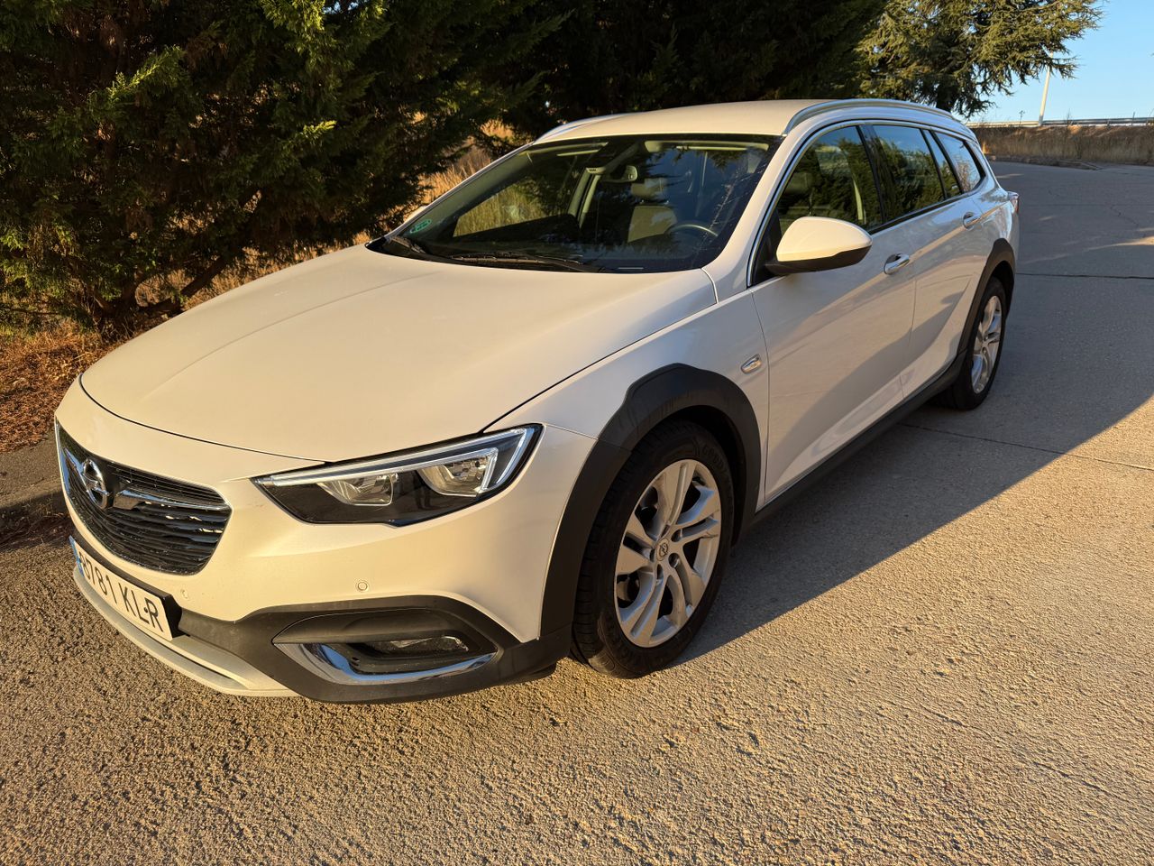 Opel Insignia Sports Tourer 2.0 CDTI Biturbo 4x4 Auto  - Foto 14