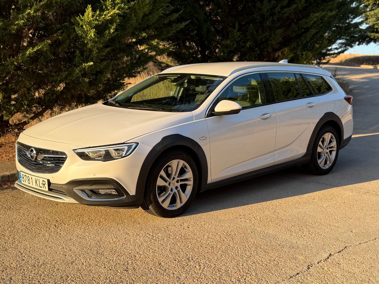 Opel Insignia Sports Tourer 2.0 CDTI Biturbo 4x4 Auto