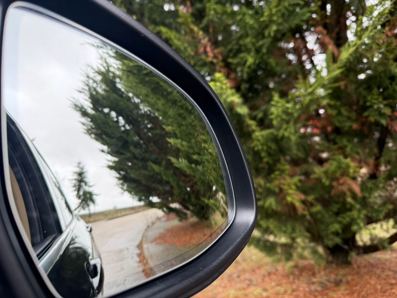 BMW X4 xDrive35i - Foto 65