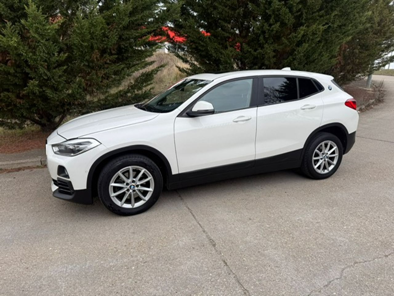 BMW X2 sDrive18d Aut. - Foto 3