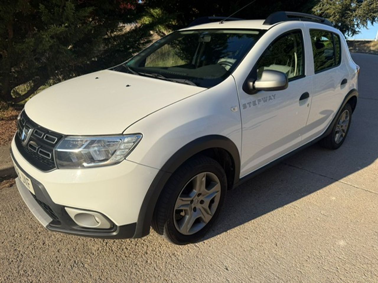 Dacia Sandero Stepway Comfort Blue dCi 70 kW (95 CV) - Foto 28
