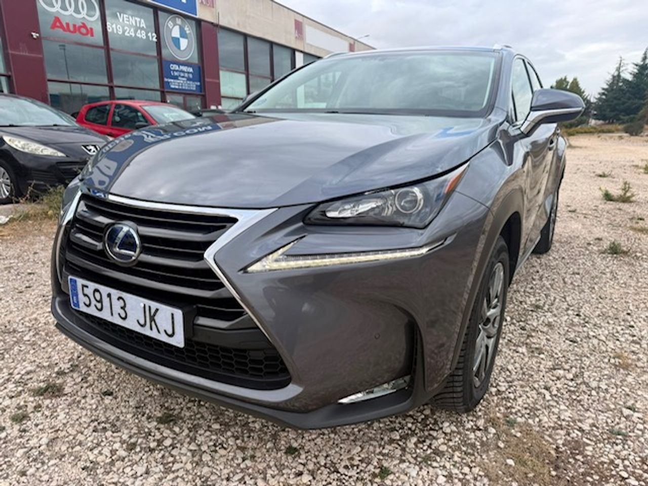 Lexus NX 300h Executive 4WD - Foto 9