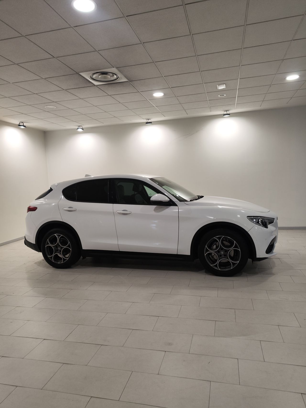 alfa romeo stelvio 2022 / foto grande (2)
