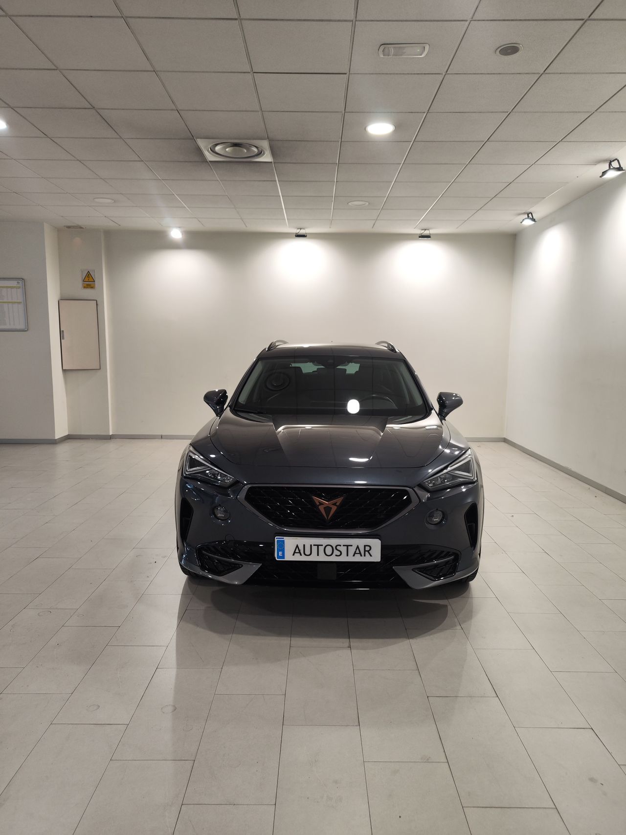 cupra formentor 2022 / foto grande (3)
