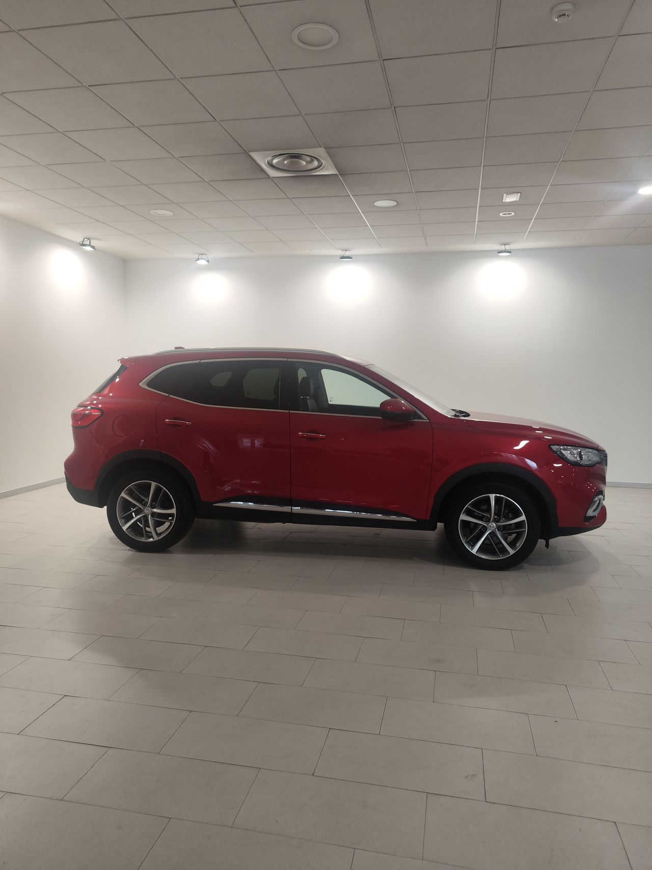 mg ehs 2022 / foto grande (2)