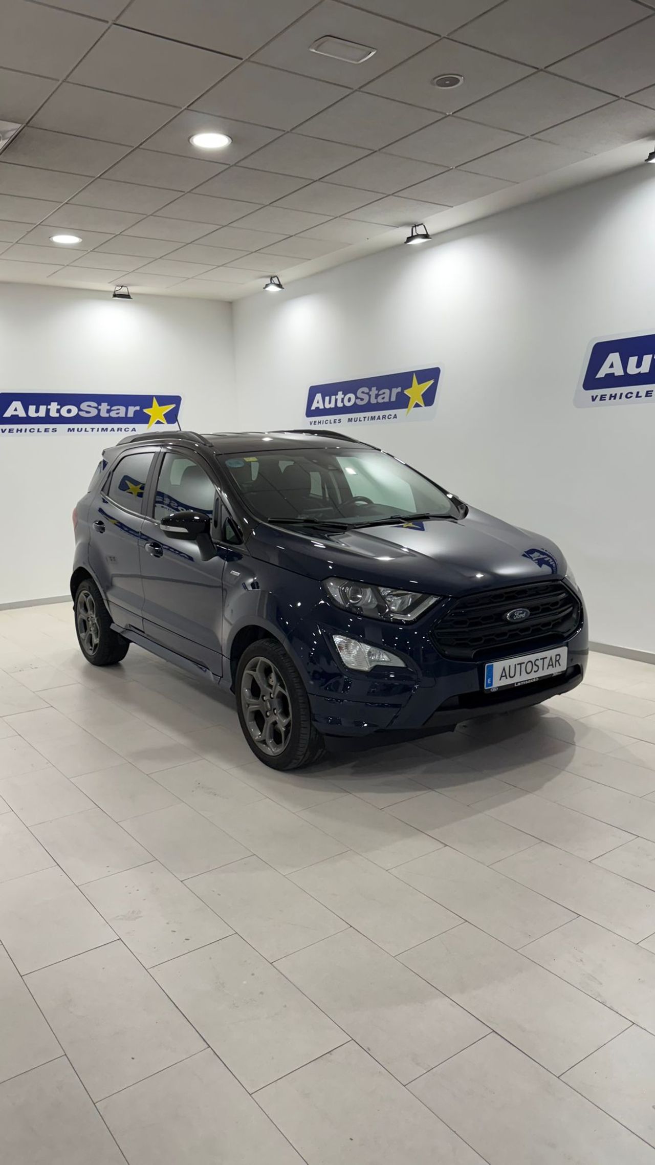 ford ecosport 2020 /