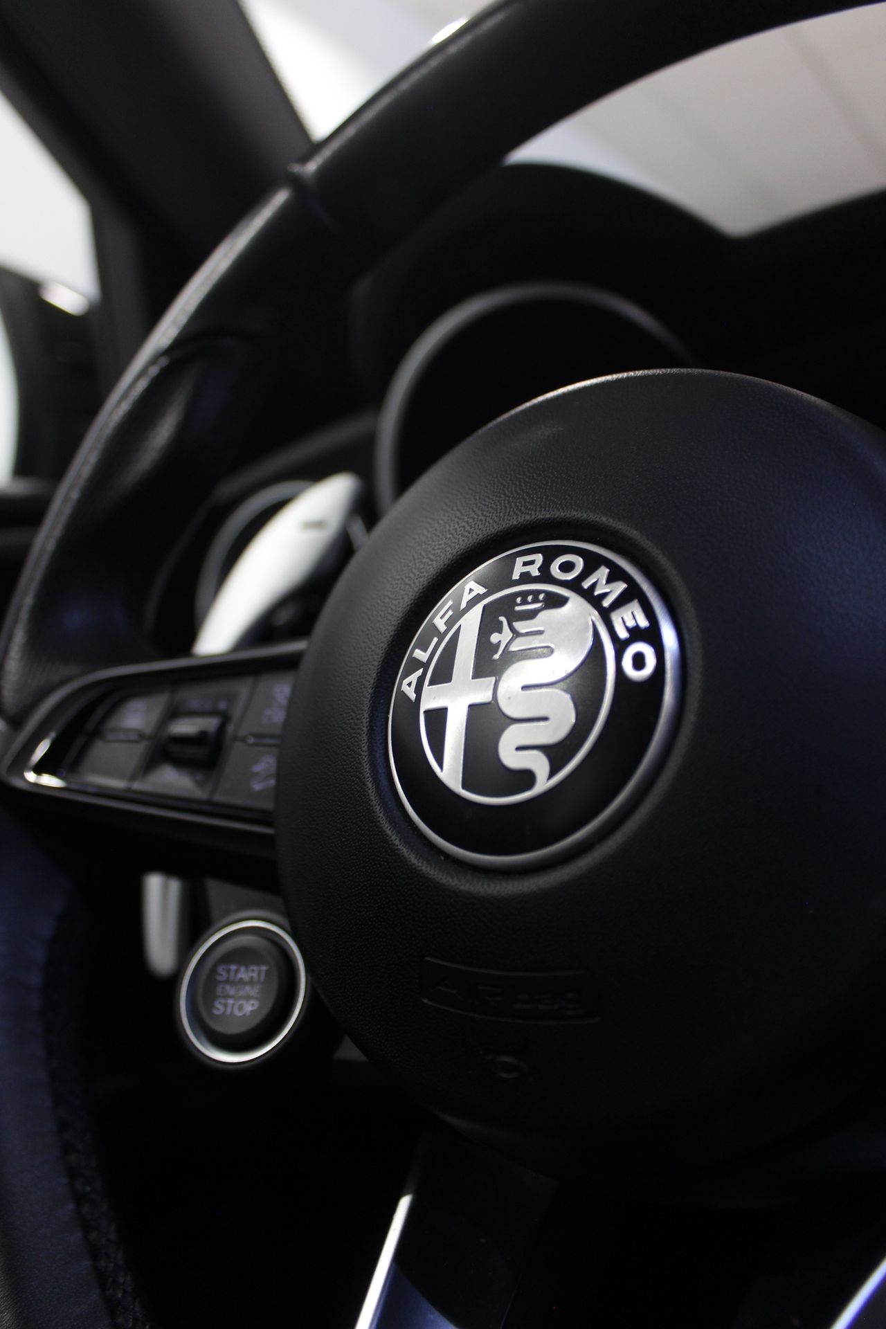 Alfa Romeo Stelvio 2.2 Diesel 154 kW (210 CV) Veloce AT AWD - Foto 12