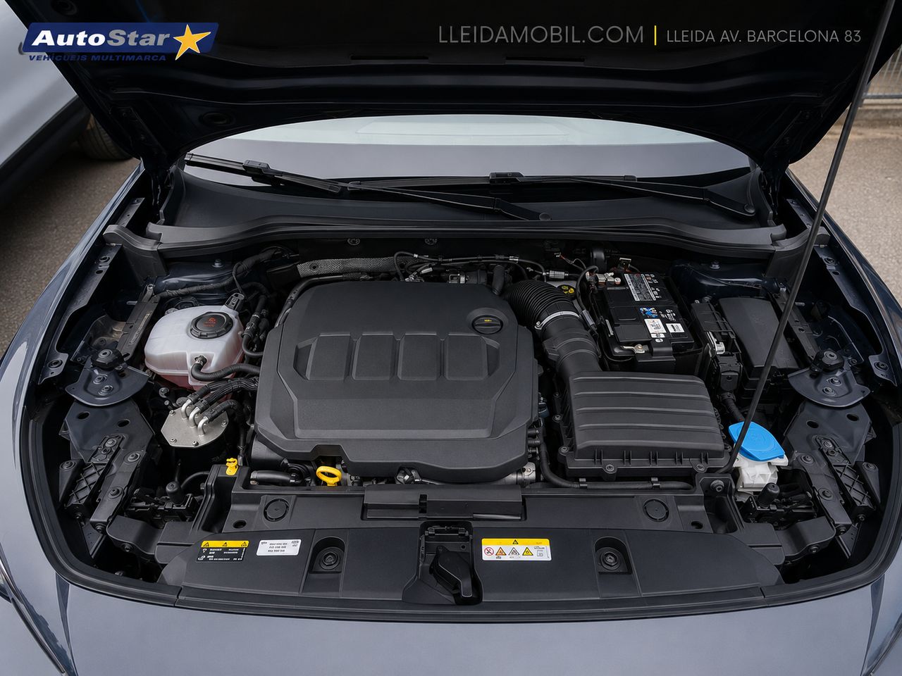 Cupra Formentor 2.0 TDI 110 kW (150 CV) - Foto 3