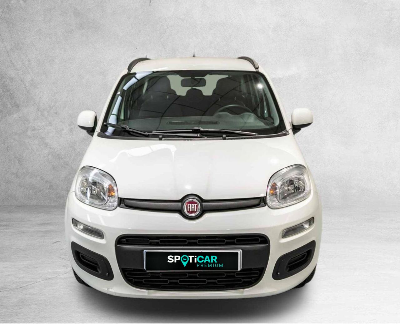fiat panda 2019 / foto grande (2)