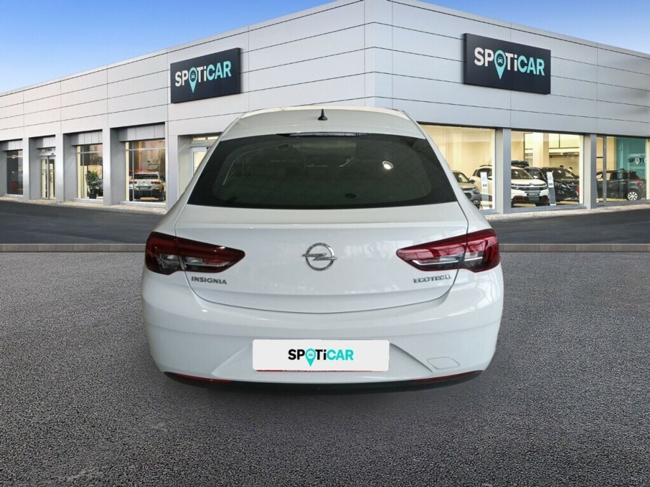 OPEL INSIGNIA GS 1.6 CDTI ECOTEC D SELECTIVE (110CV) - foto 6