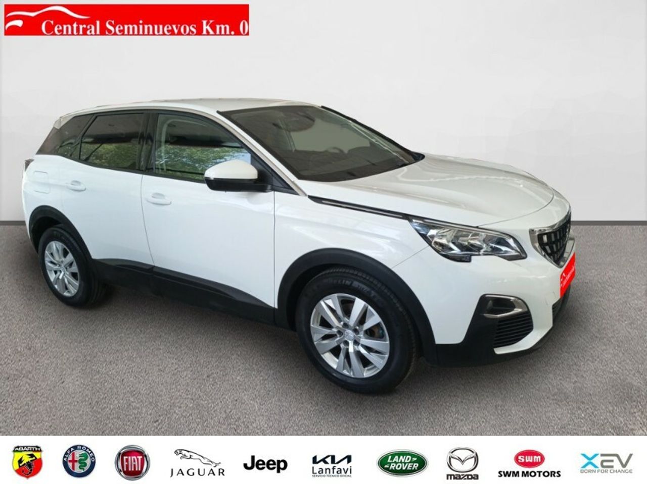 peugeot 3008 2018 / foto grande (3)