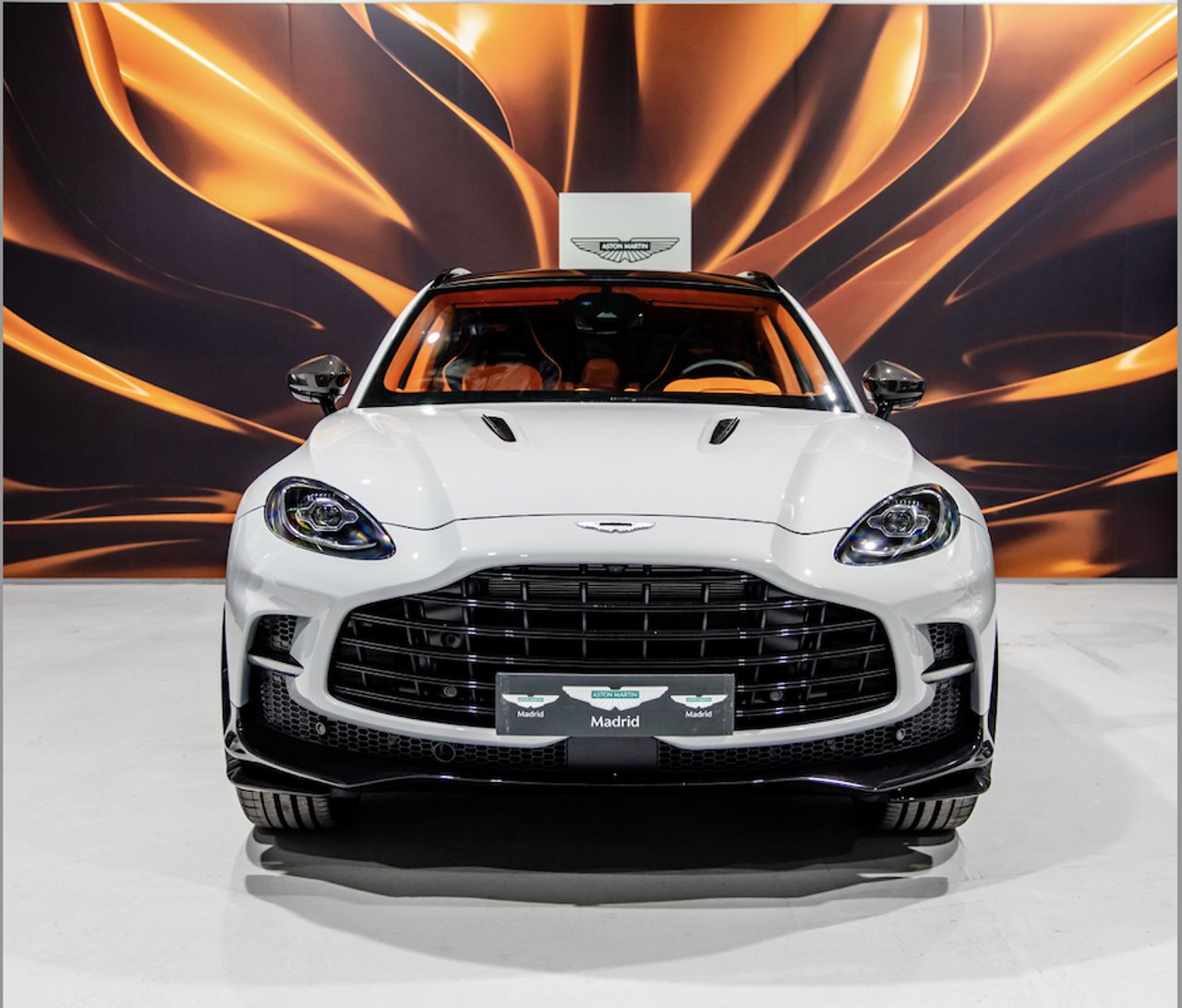 aston martin dbx 2024 / foto grande (2)