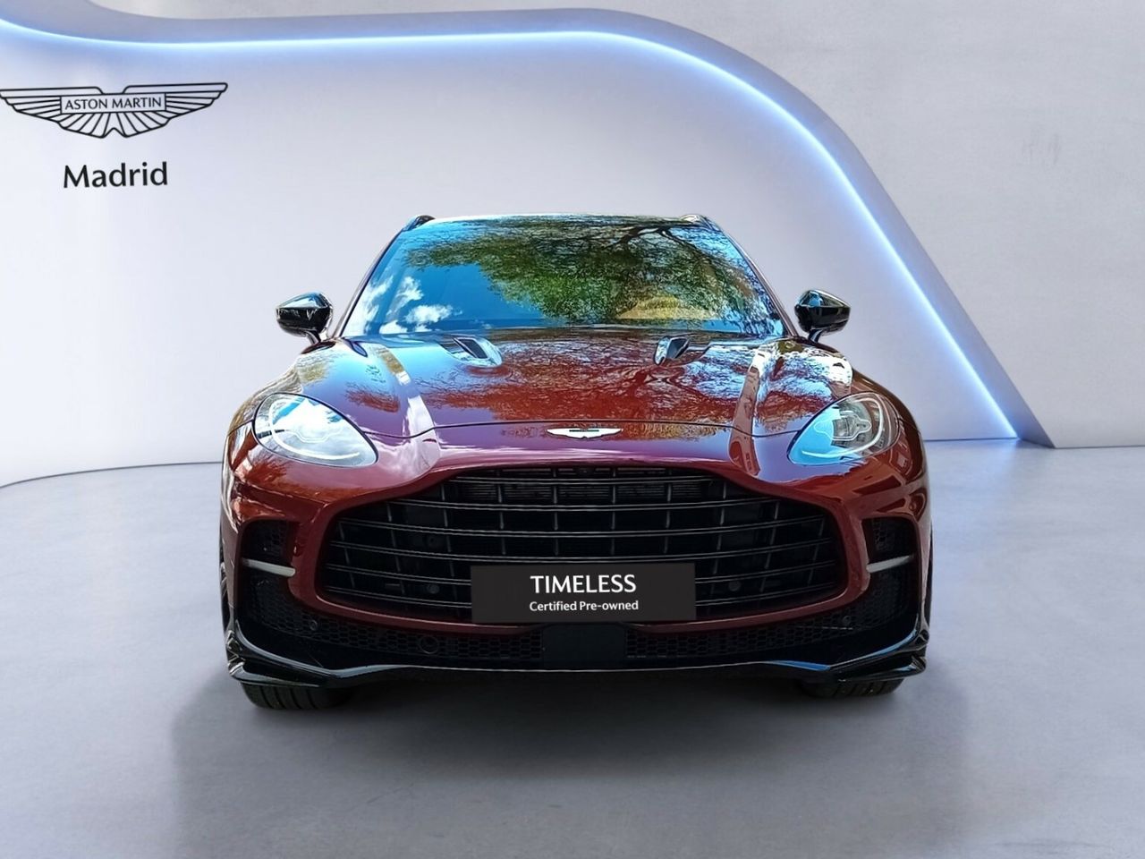 aston martin dbx 2023 / foto grande (2)