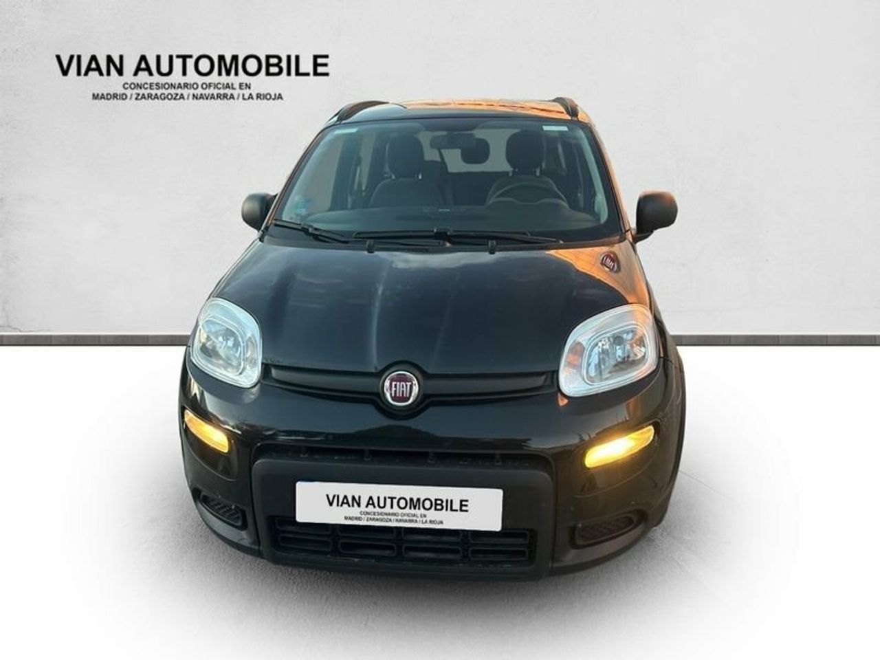 fiat panda 2022 / foto grande (2)