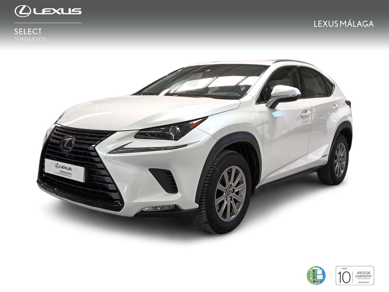 Aqui mejor vidente amor  - lexus nx 2020 /