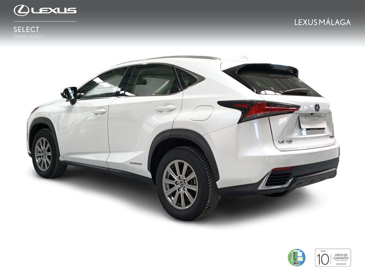 lexus nx 2020 / foto grande (2)