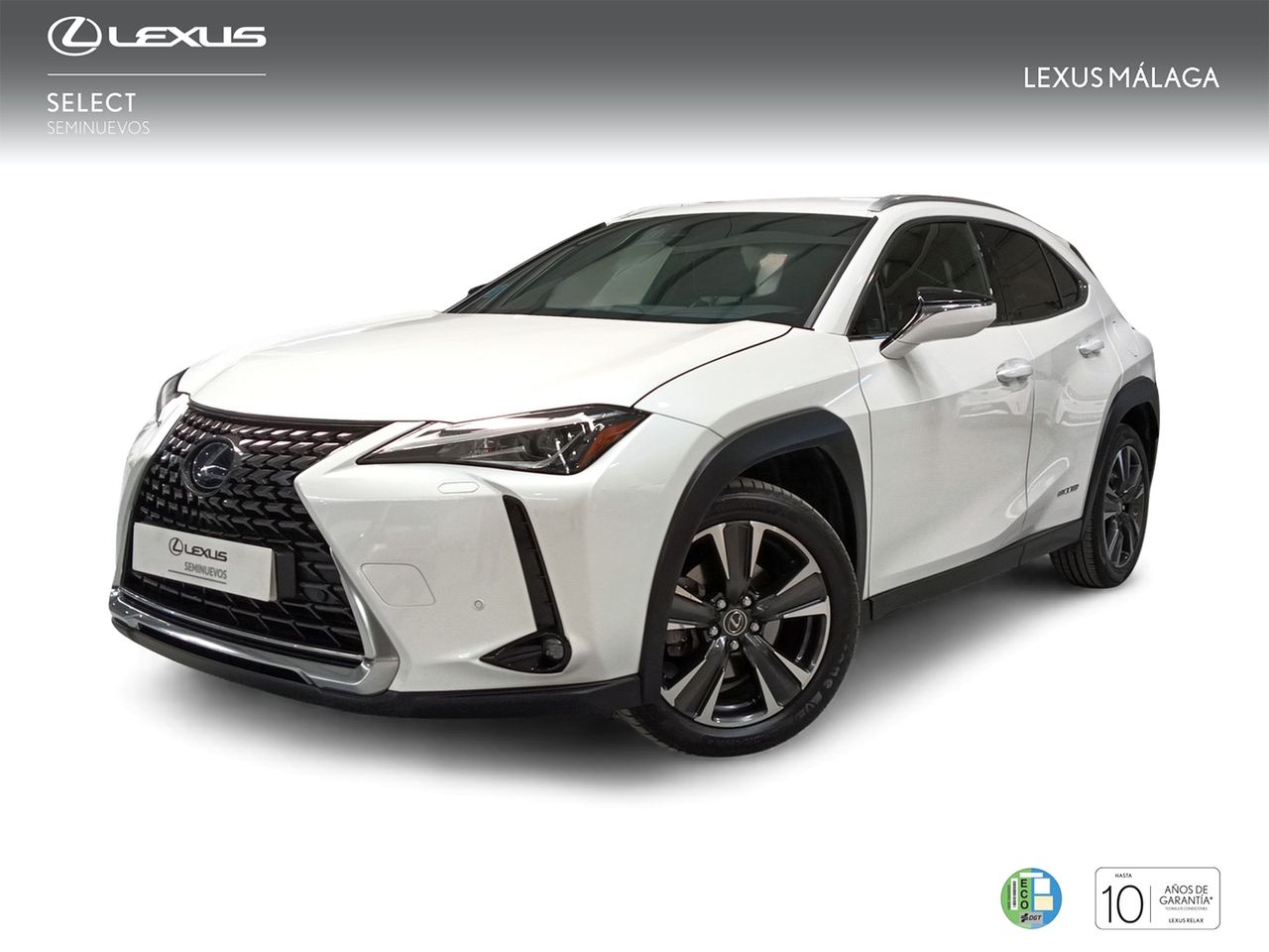 Aqui mejor vidente amor  - lexus ux 2020 /