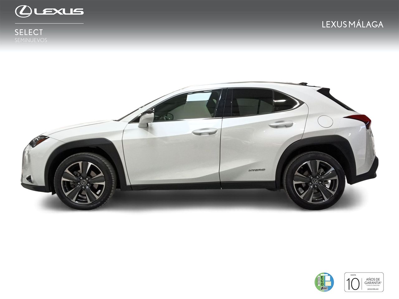 lexus ux 2020 / foto grande (3)