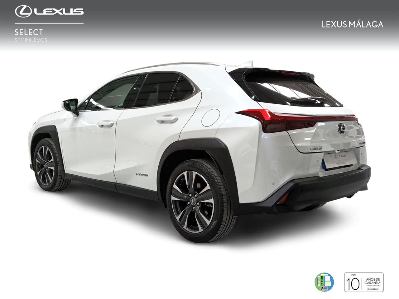 lexus ux 2020 / foto grande (2)