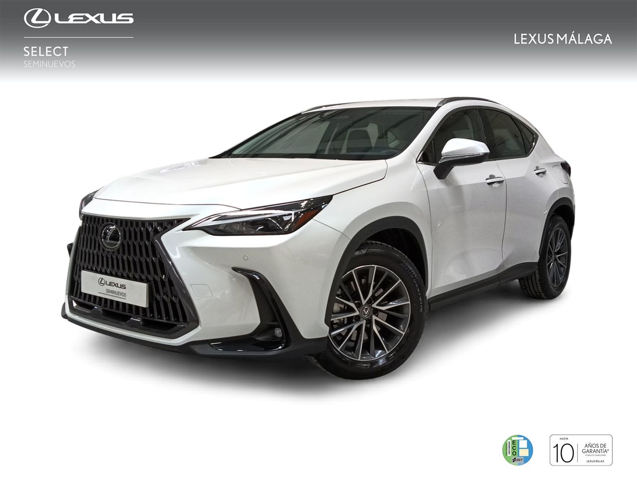 Aqui mejor vidente amor  - lexus nx 2024 /