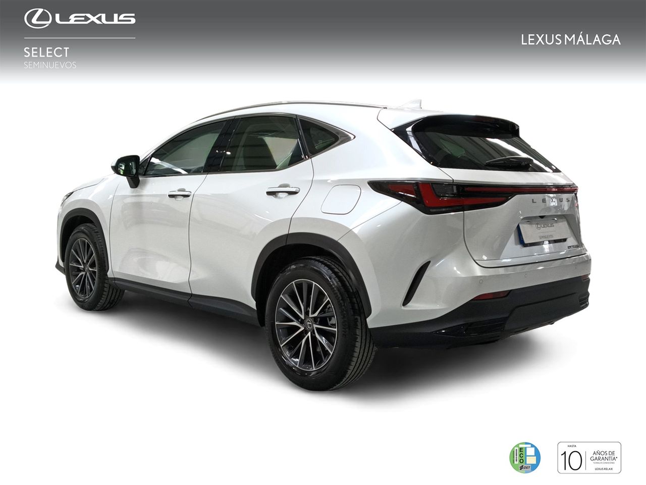 lexus nx 2024 / foto grande (2)