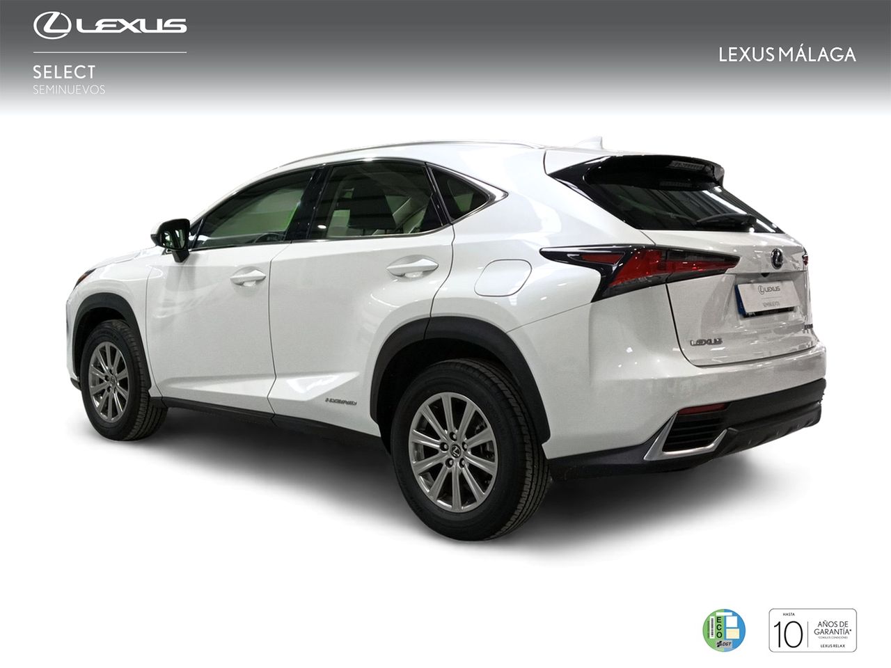 lexus nx 2020 / foto grande (2)
