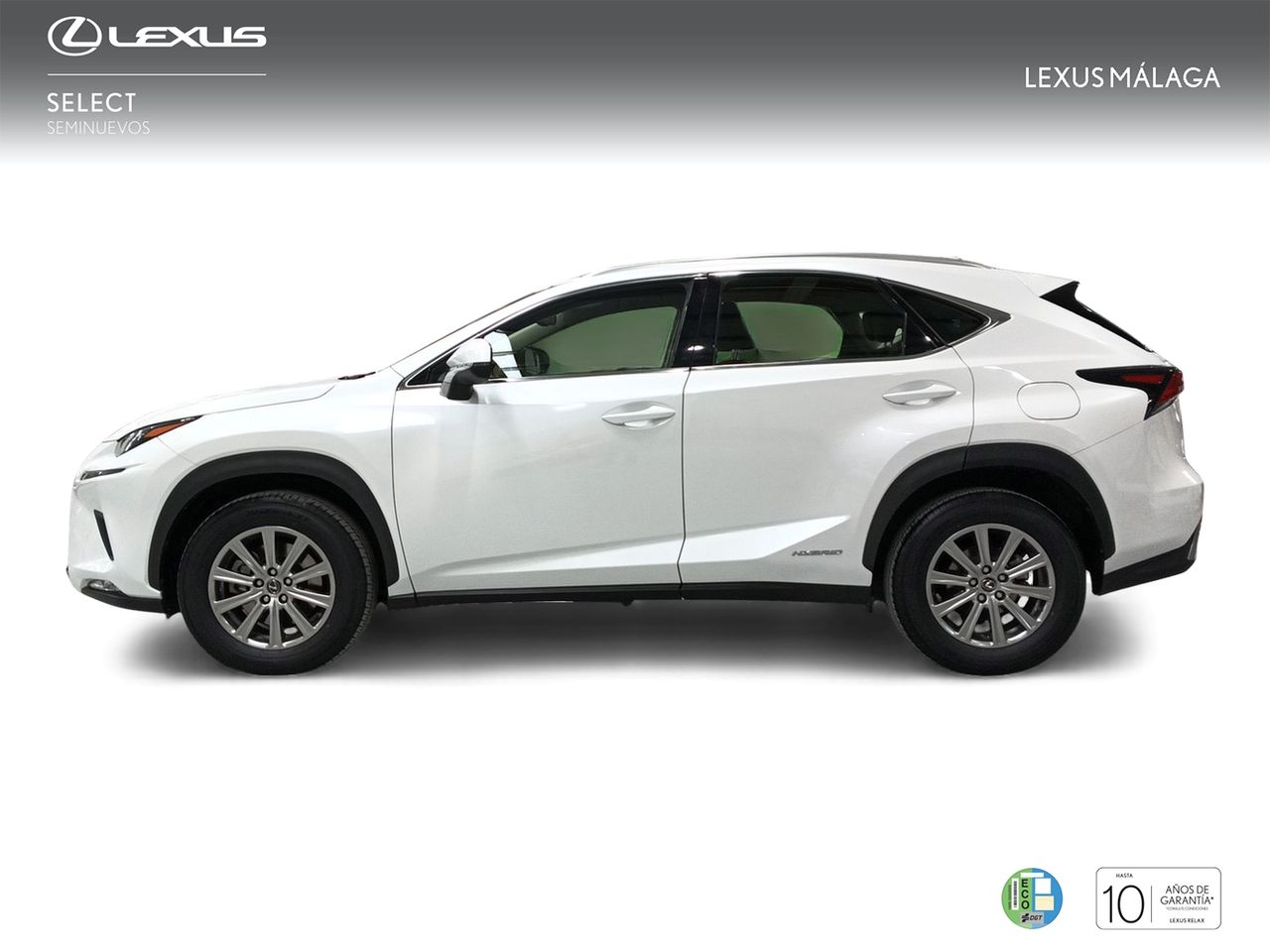 lexus nx 2020 / foto grande (3)