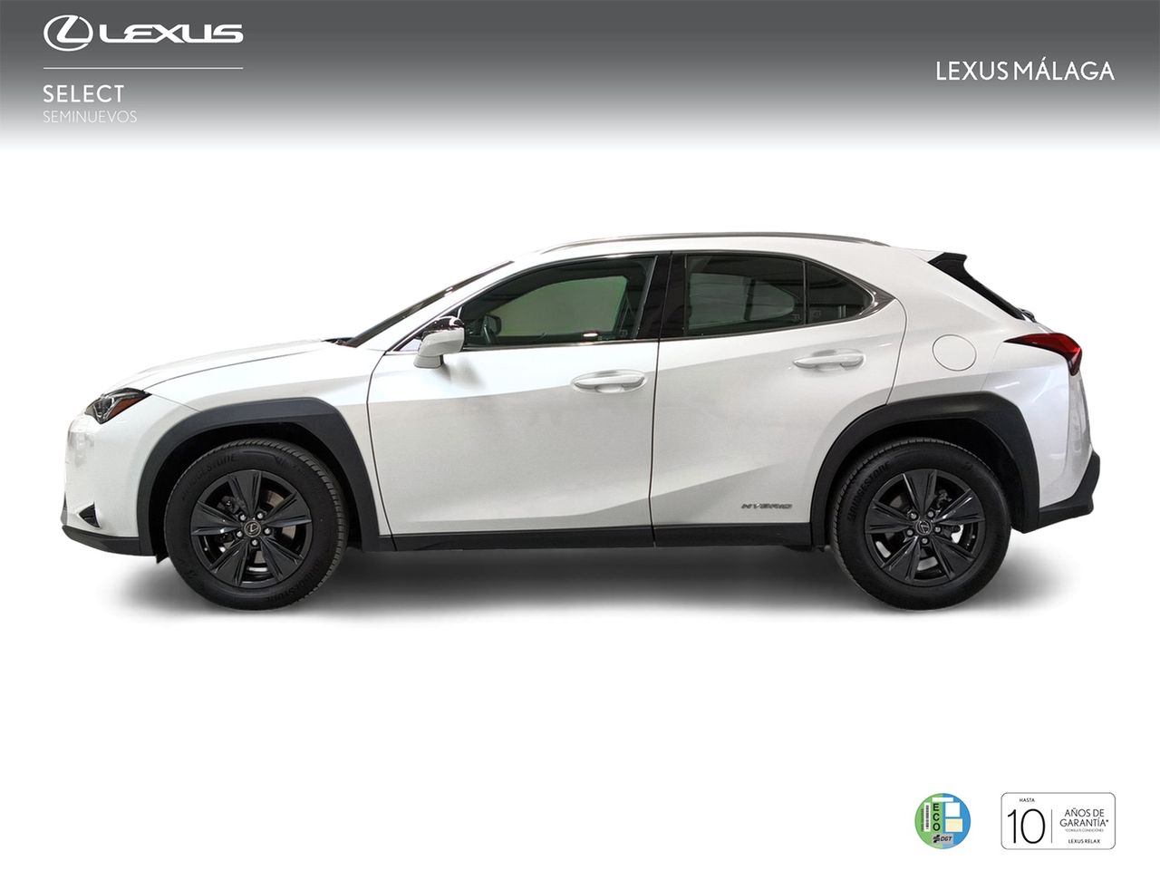 lexus ux 2021 / foto grande (3)