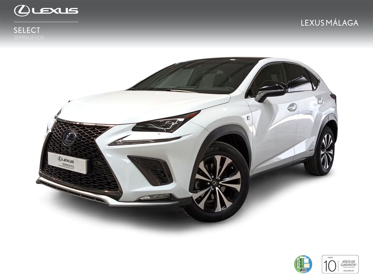 Foto lexus nx 2019 /