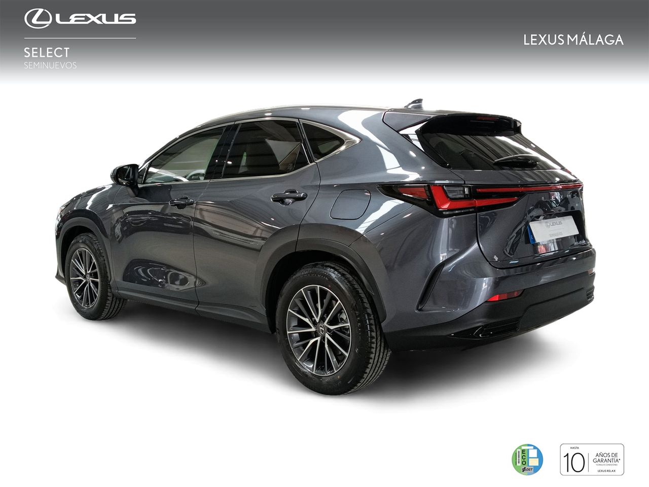 lexus nx 2025 / foto grande (2)