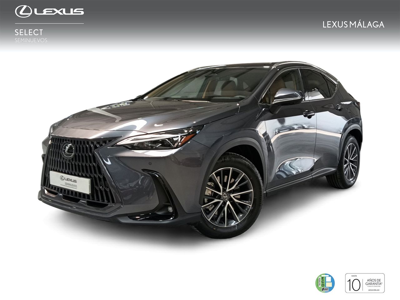 Foto lexus nx 2025 /