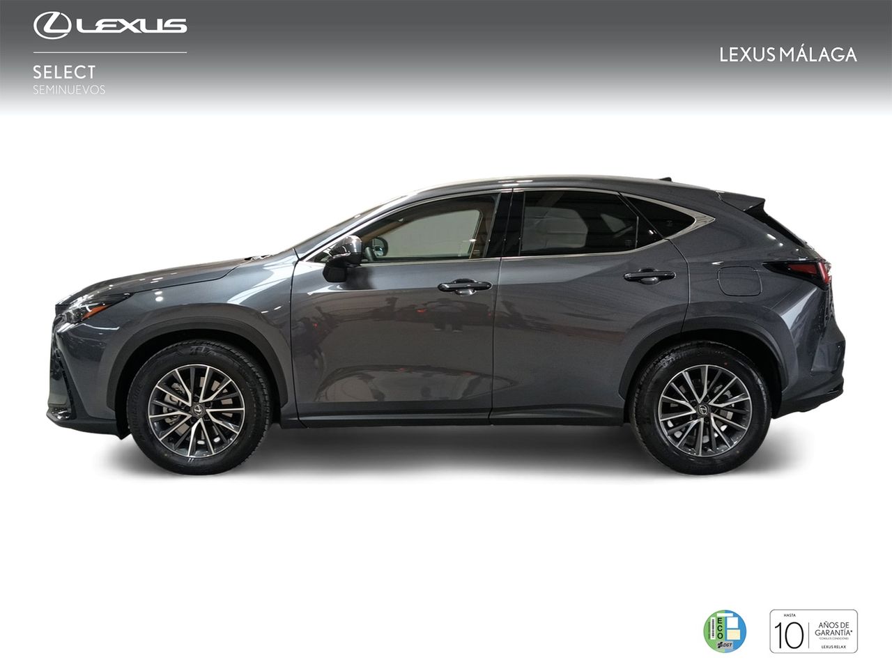 lexus nx 2025 / foto grande (3)