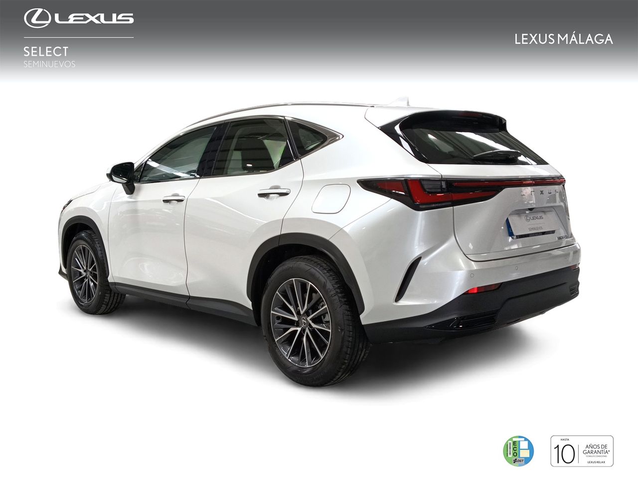 lexus nx 2024 / foto grande (2)