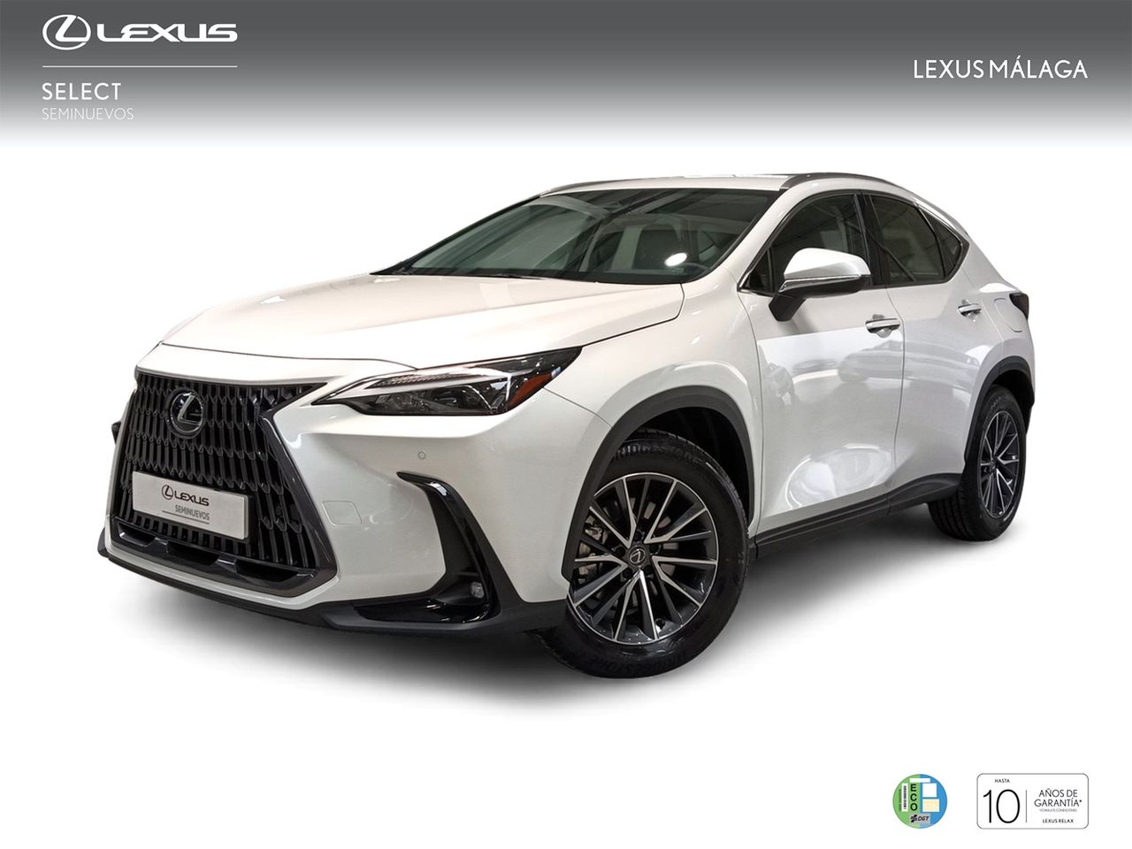 Foto lexus nx 2024 /