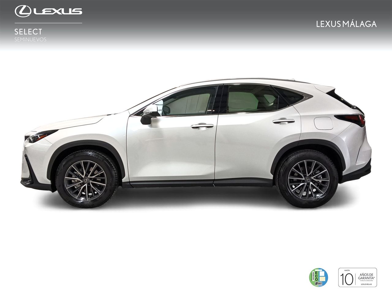 lexus nx 2024 / foto grande (3)