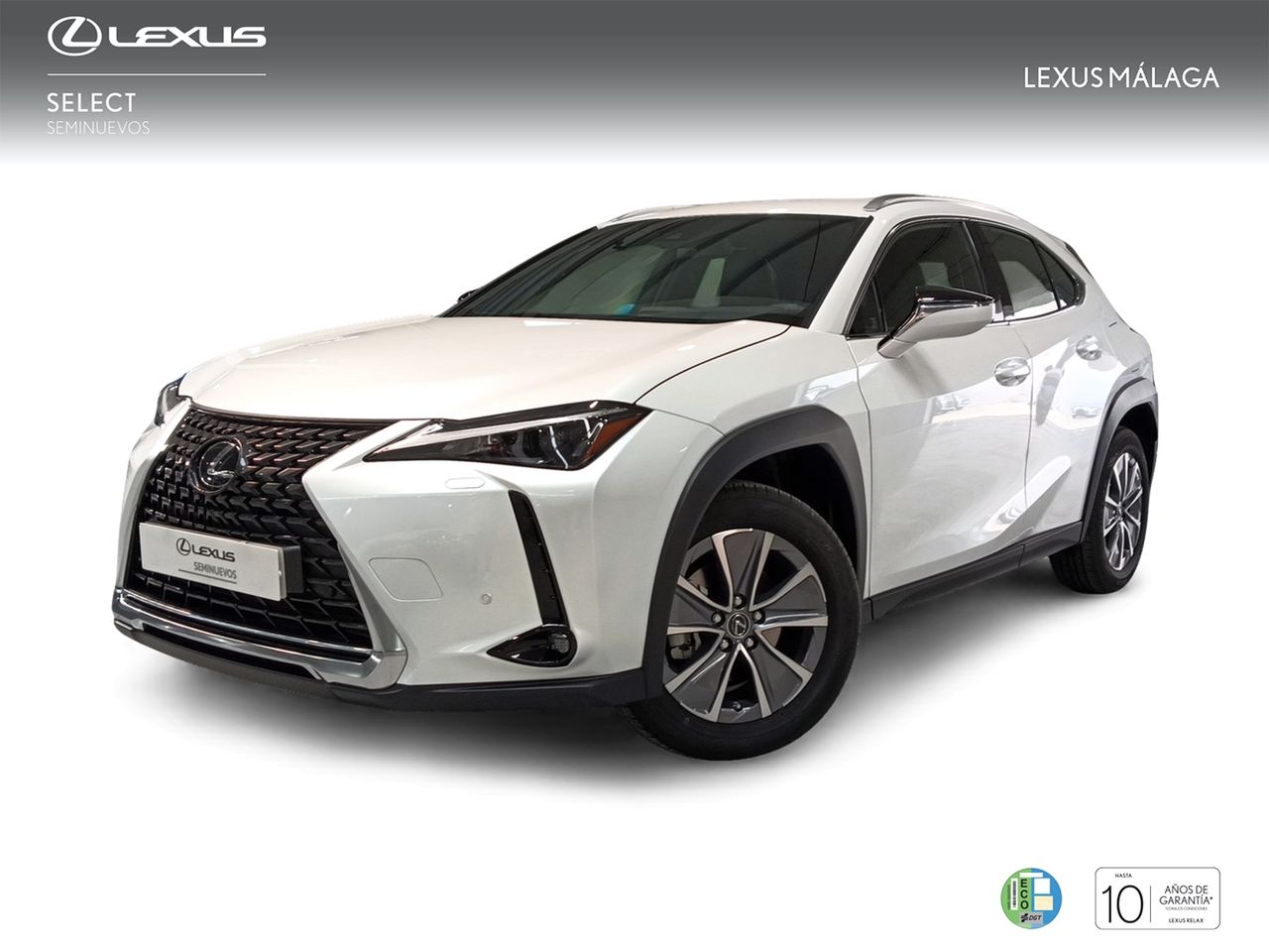 Foto lexus ux 2024 /