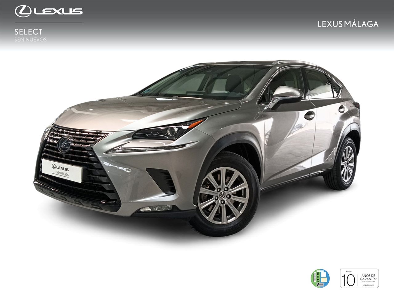 Foto lexus nx 2019 /